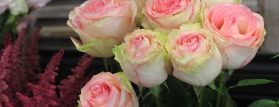 Roses