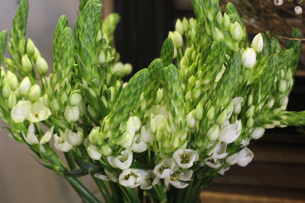 Bouquet